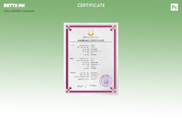 Модерен стил Guniea шаблон PSD шаблон за документи за брак